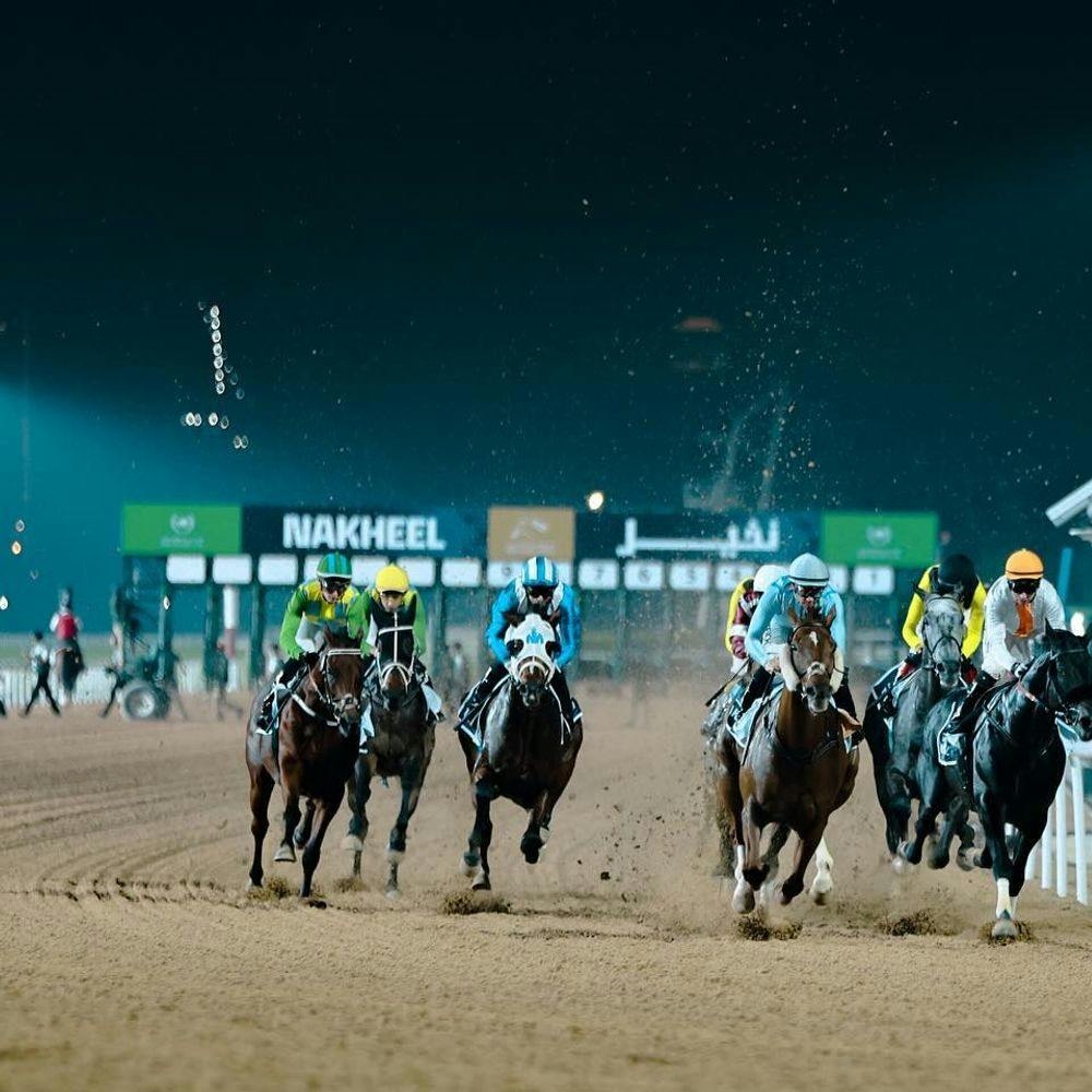Horses racing on Meydan Racecourse in Dubai.
