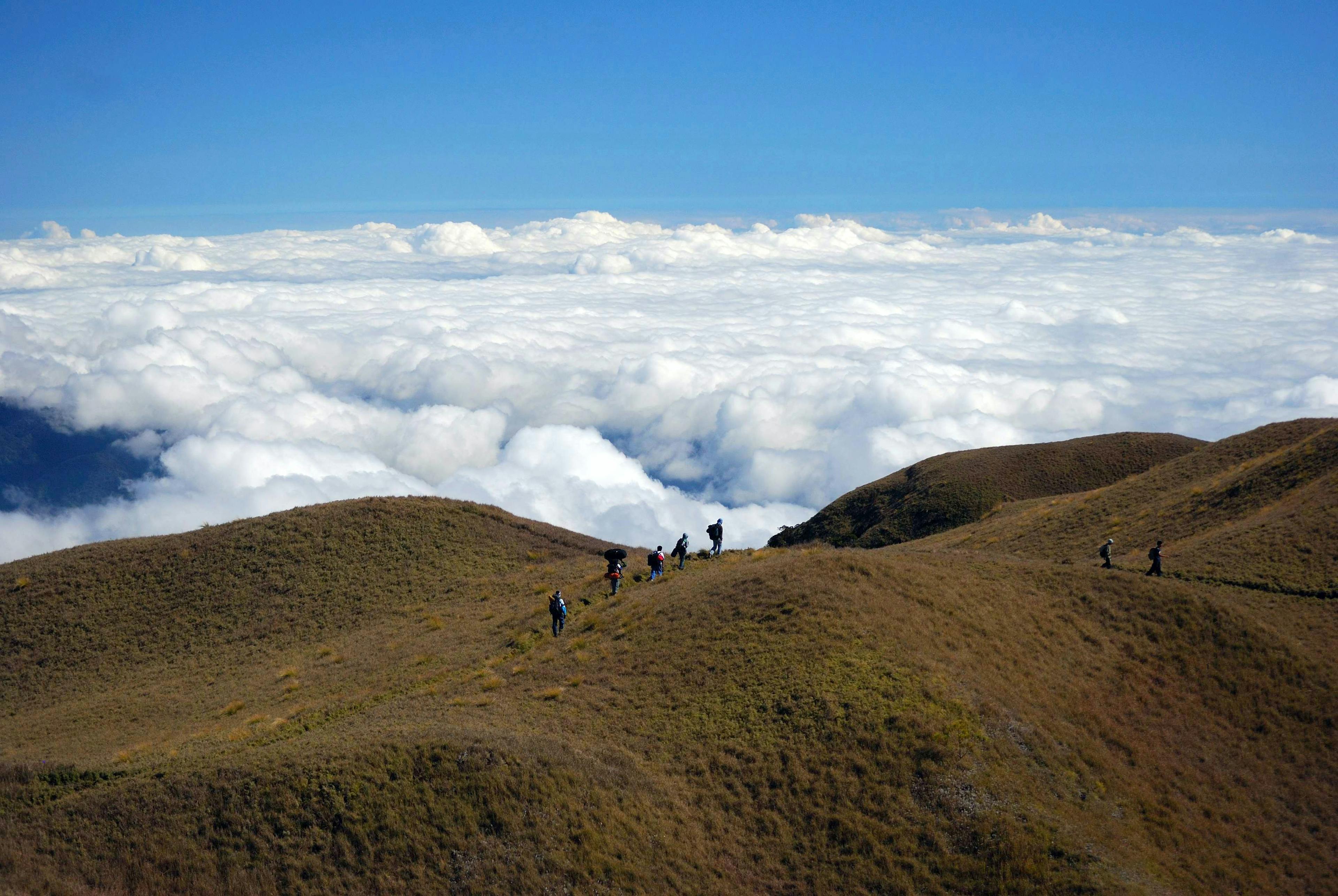 Mount Pulag in Philippines.