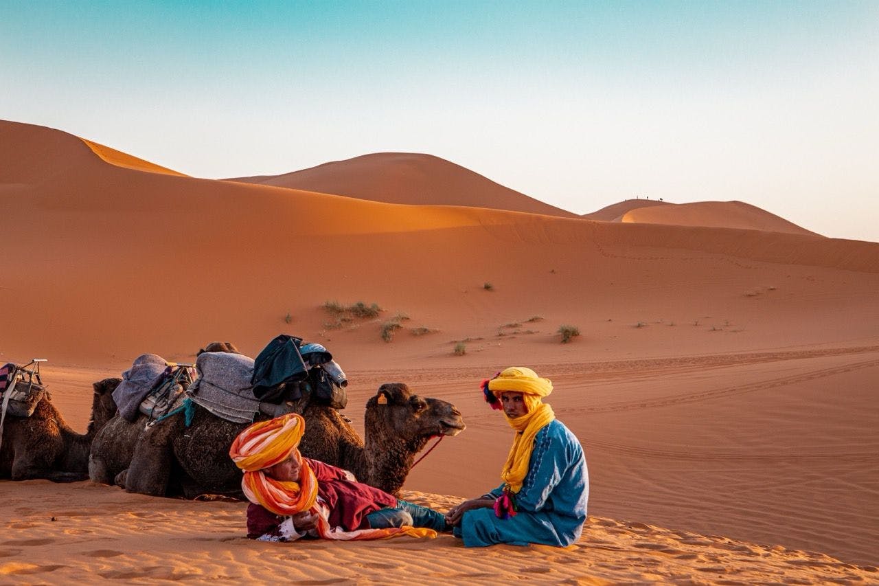 Berber men sitting with camels in Sahara, Morocco.