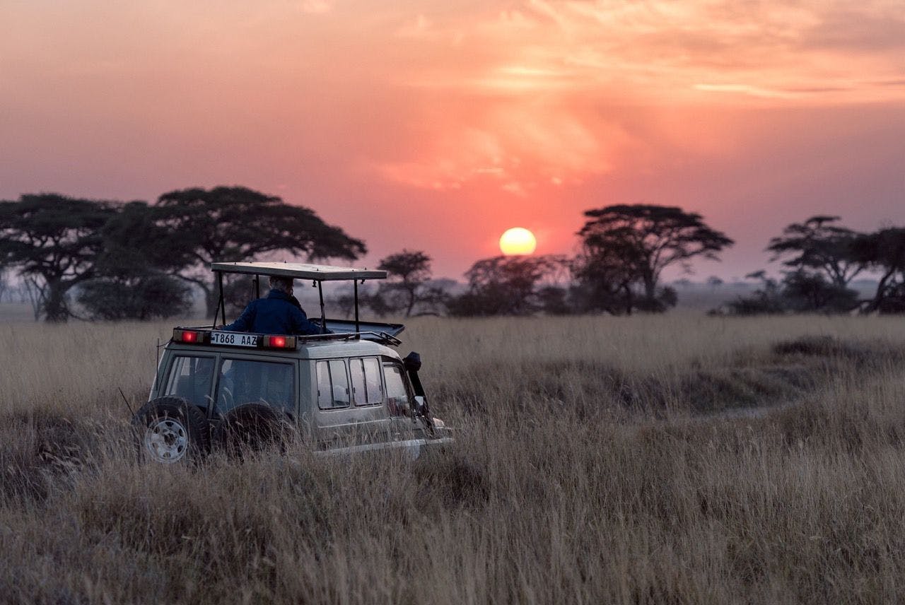 Safari tour in Serengeti national park in Tanzania