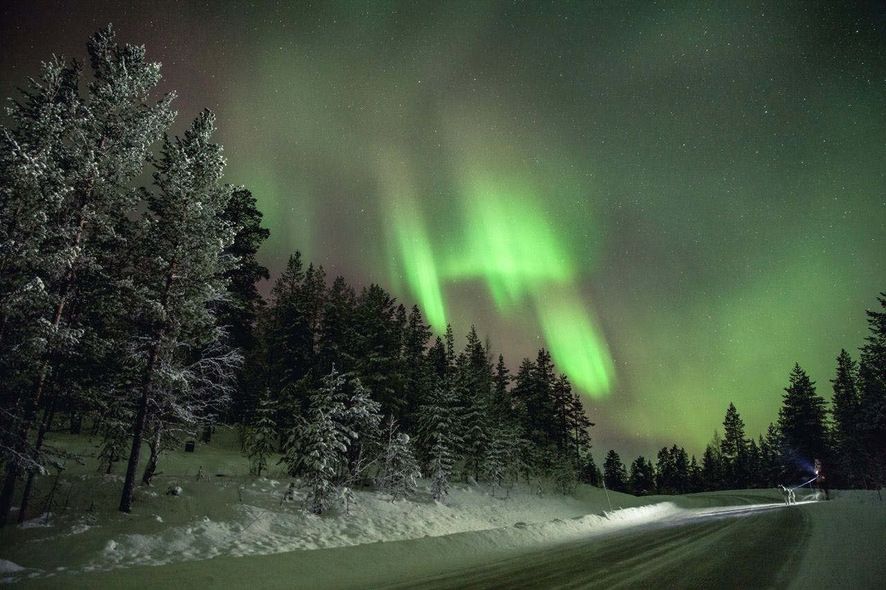 Man watching Aurora Borealis in Arctic Finland.
