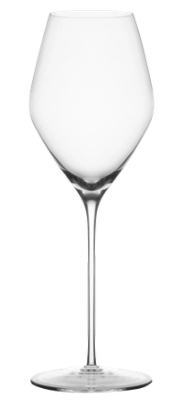 Champagne Glass by Glasvin.