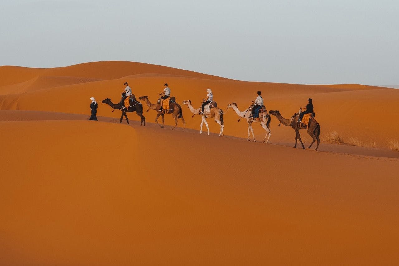 Camels with people in Sahara Desert, Morocco