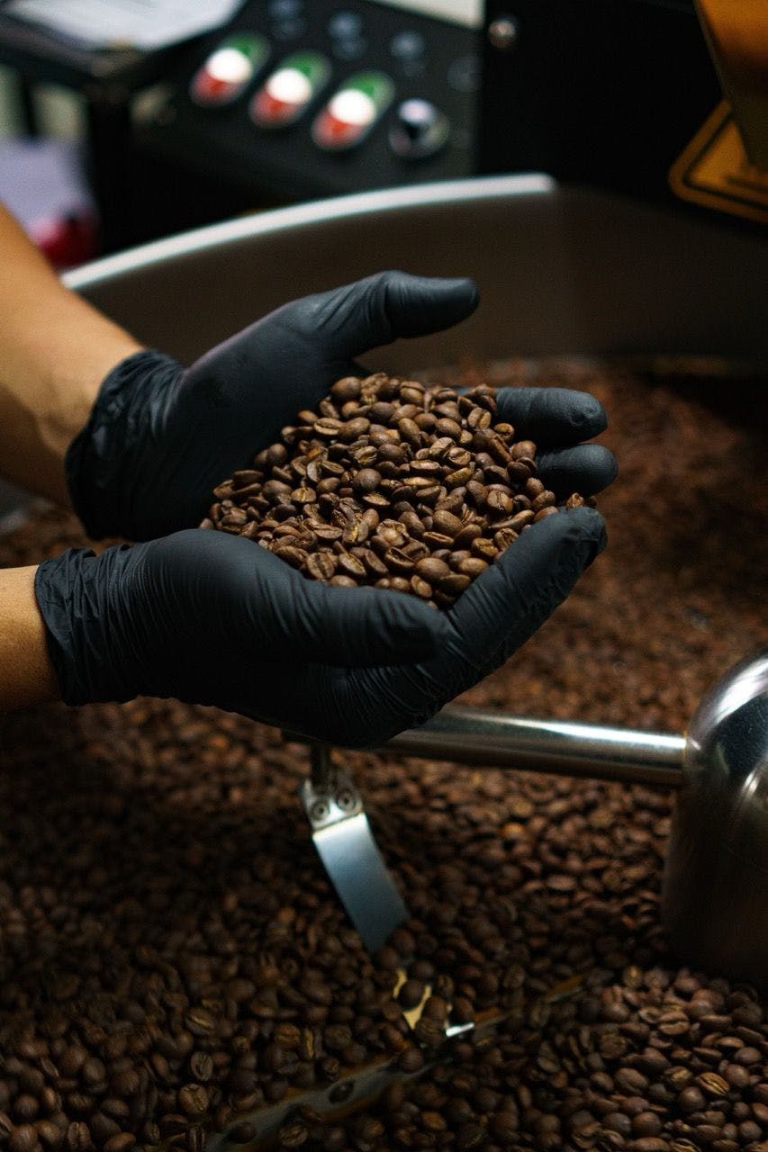 Roasted coffee beans in Costa Rica.