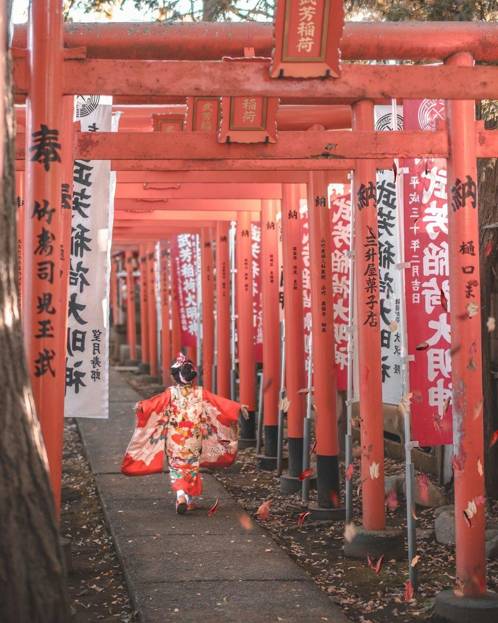 Geisha walking to the temple in Japan.