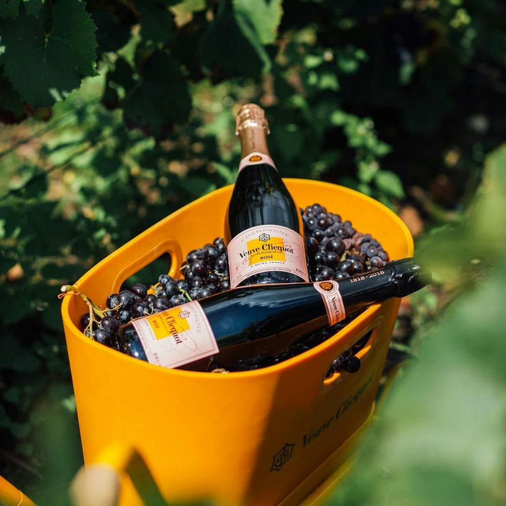 Two bottles of Veuve Clicquot champagne in a basket with grapes.