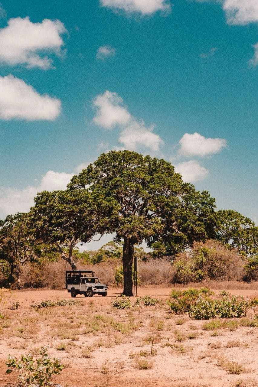 Safari jeep in Yala National Park, Sri Lanka.
