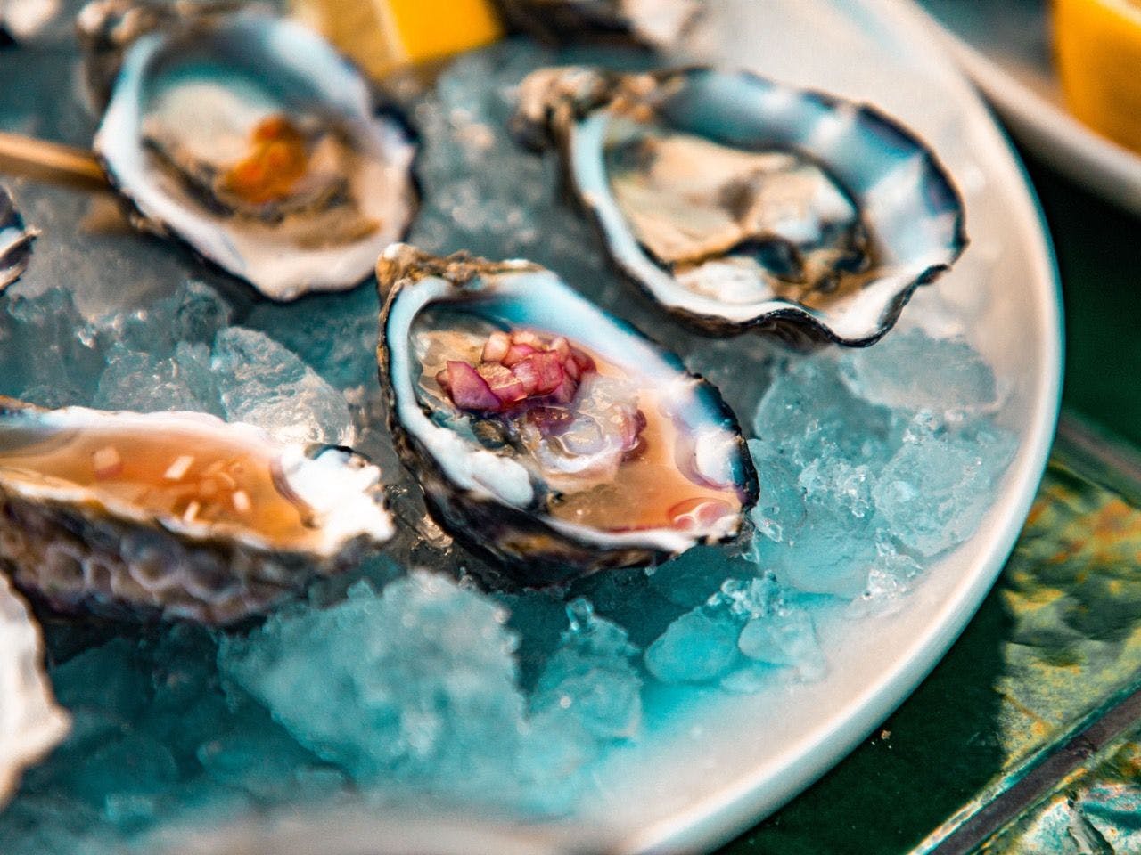 Oysters on a plate with ice
