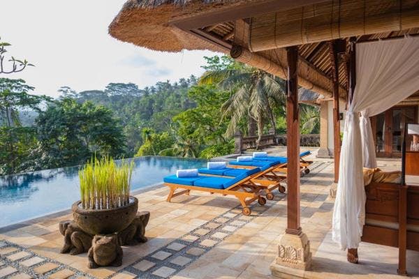 View on private pool and jungle in Puri Wulandari hotel in Ubud Bali.