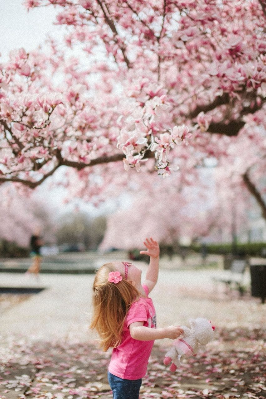 Happy girl under blooming tree in France