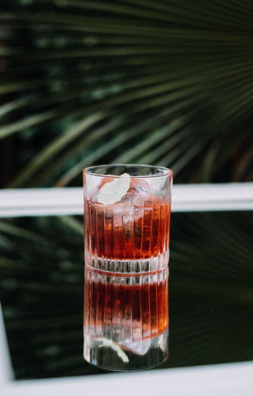 Red cocktail in a glass and a palm tree branch