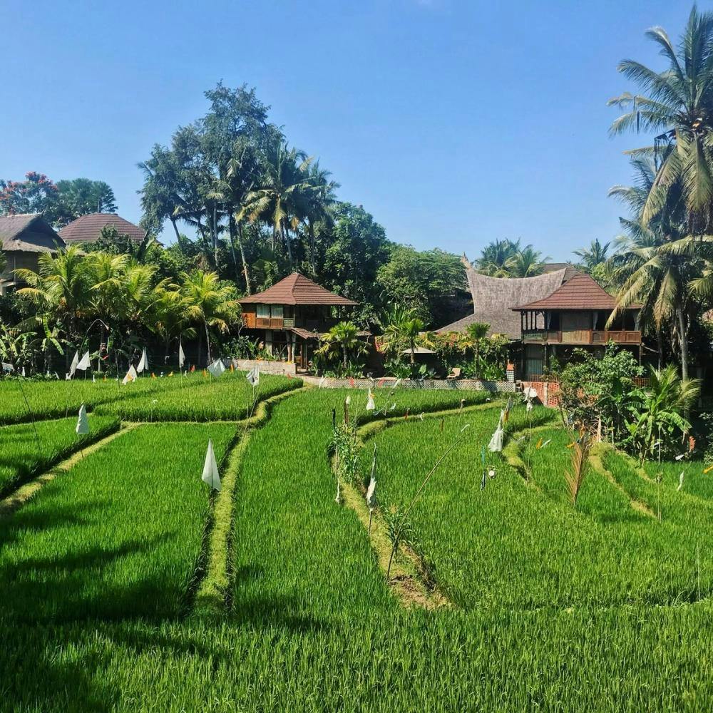 Samyama Meditation Center in Ubud Bali