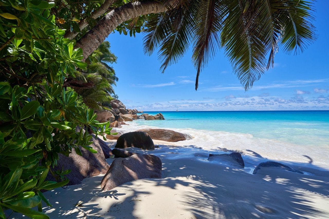 Beach on Praslin island in Seychelles