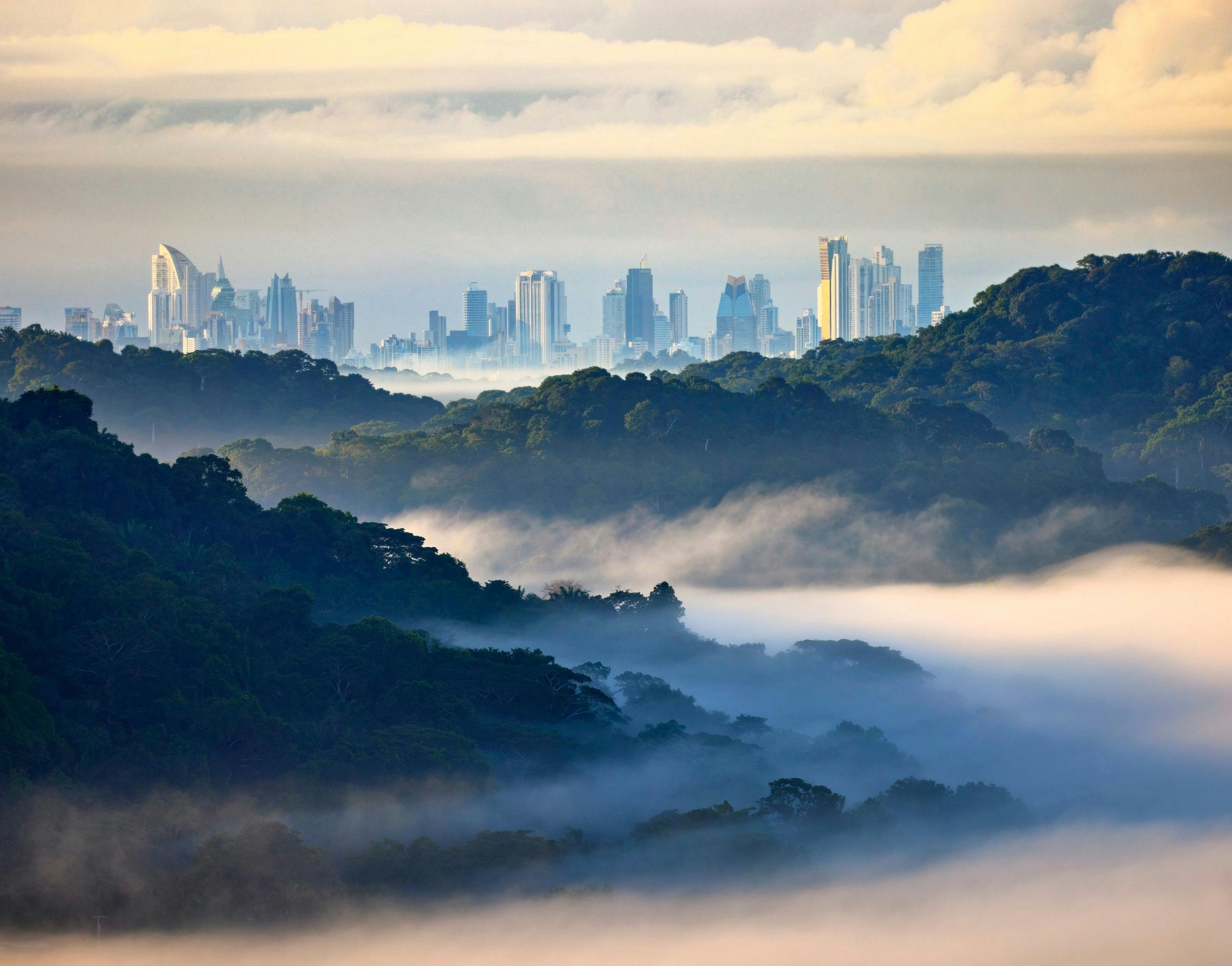 Rainforest and Panama City skyline in Panama.