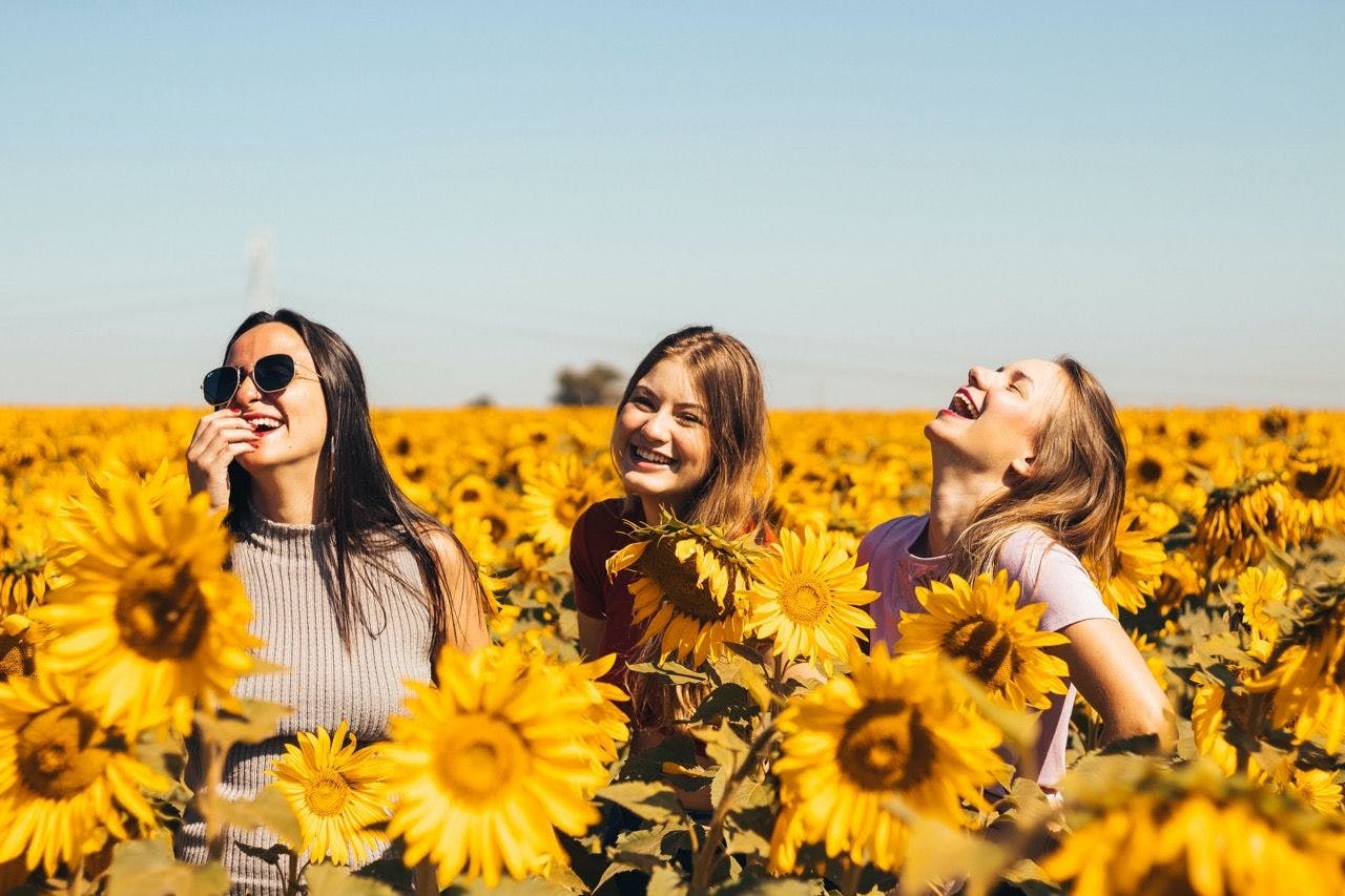 Happy girls laughing on the field of sunflowers in France