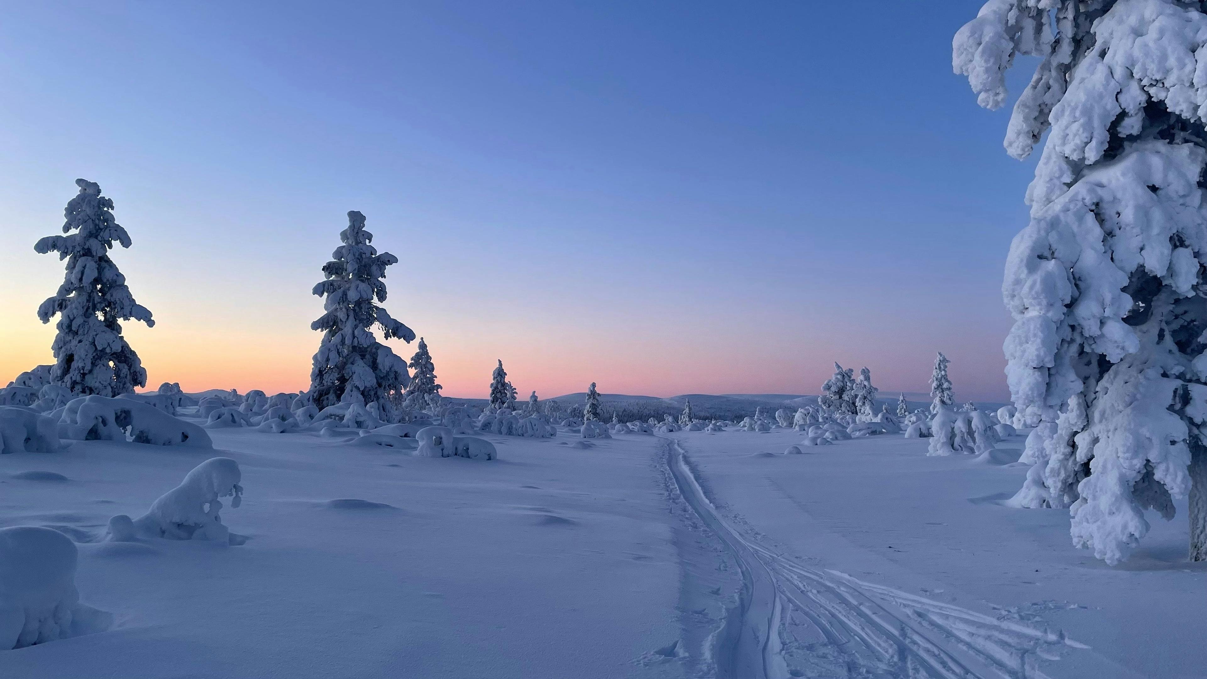 Skiing in snowy Lapland in Finland.
