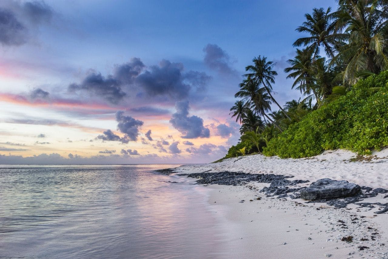 Tropical island beach with palm trees and sea.