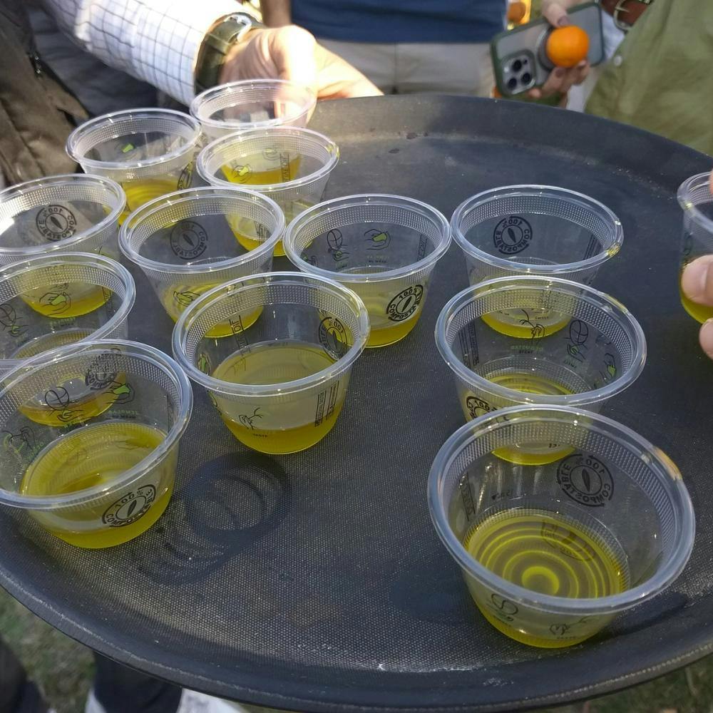 Extra virgin olive oil in cups for degustation.