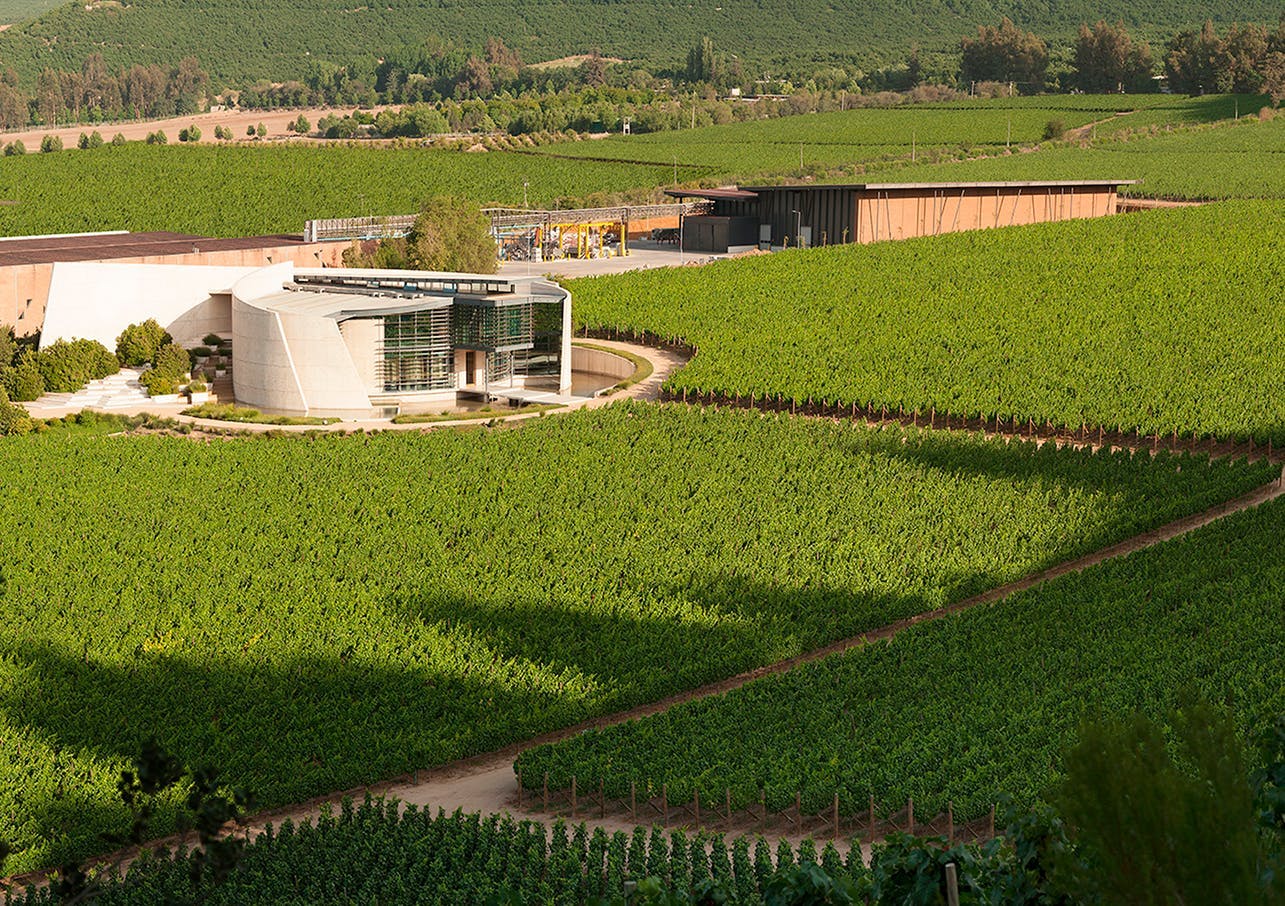 Viña Errázuriz winery in Aconcagua Valley in Chile.