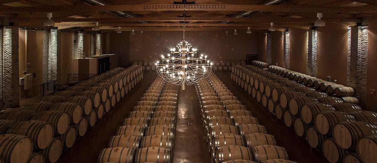 View on Emilio Moro wine cellar full of wine barrels.