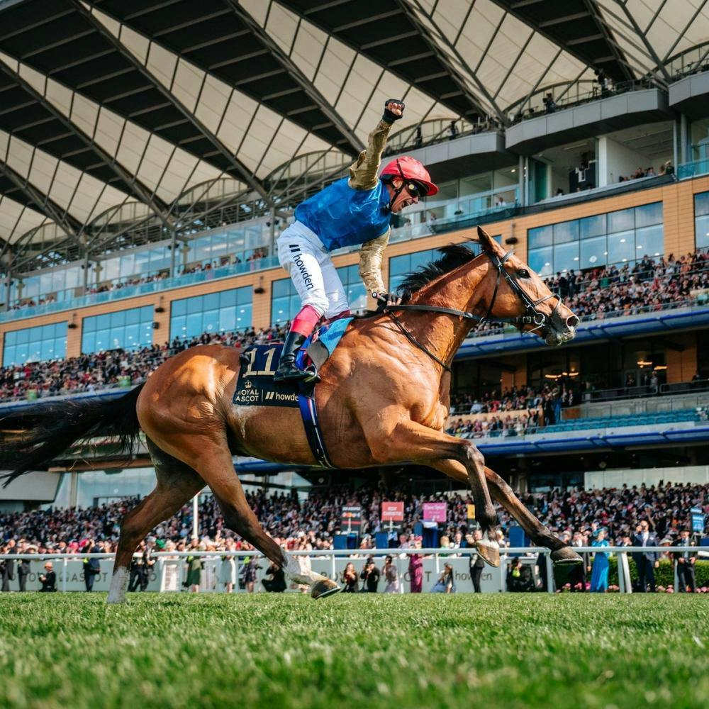 Man riding a horse in Royal Ascot Horse Race.