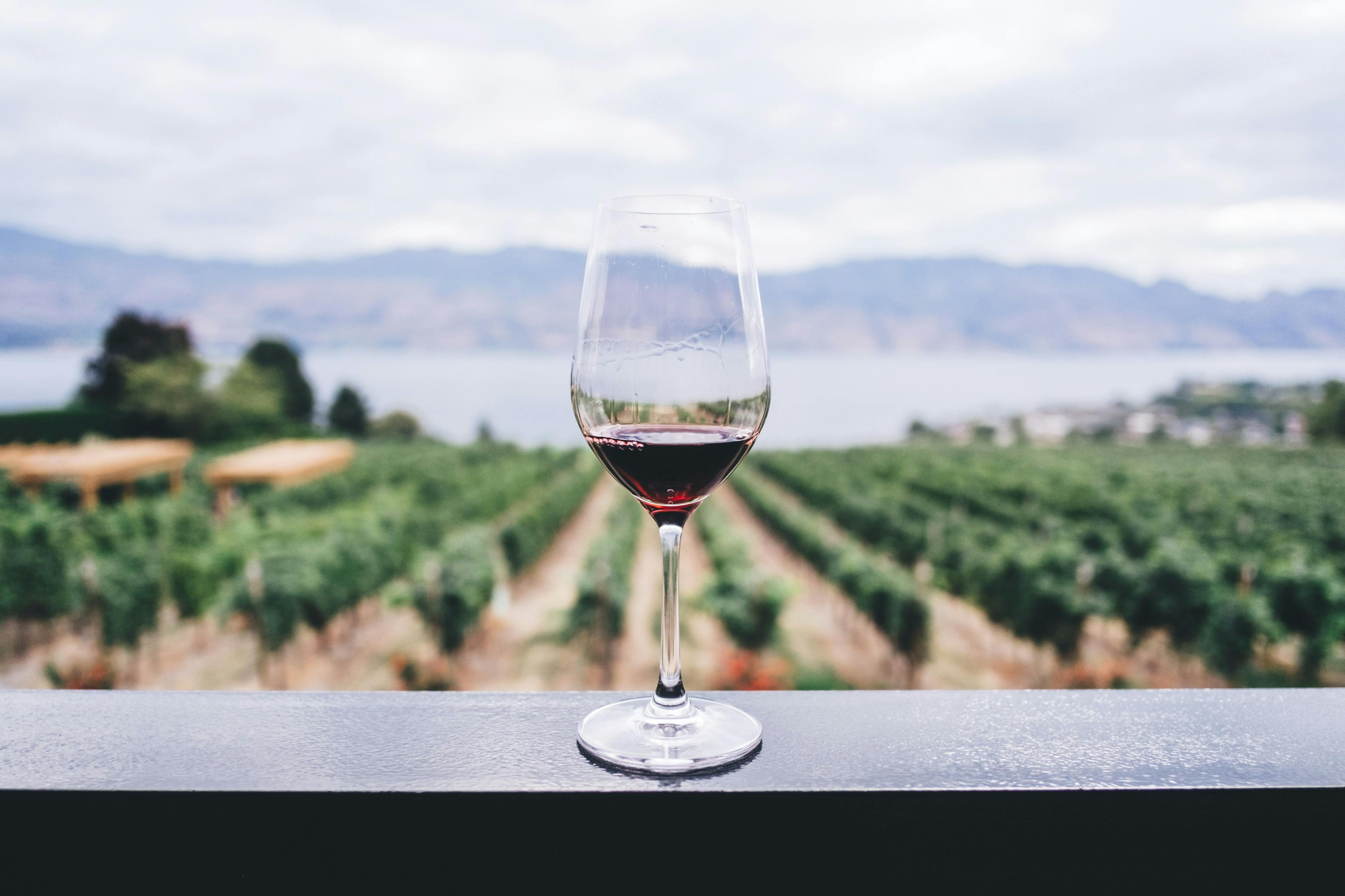 Glass of red wine in Okanagan Valley.