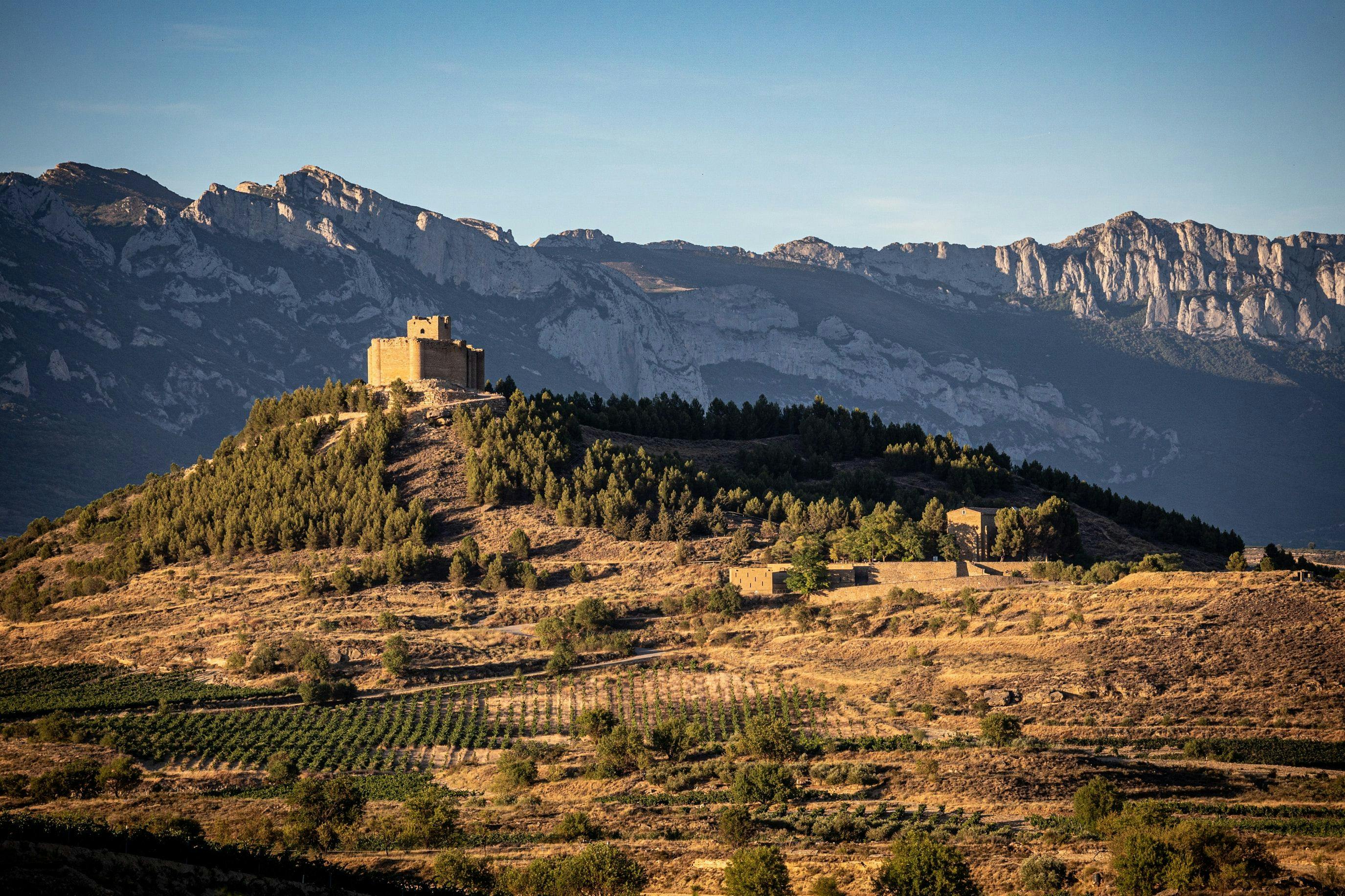 Wineyards in Rioja Spain.