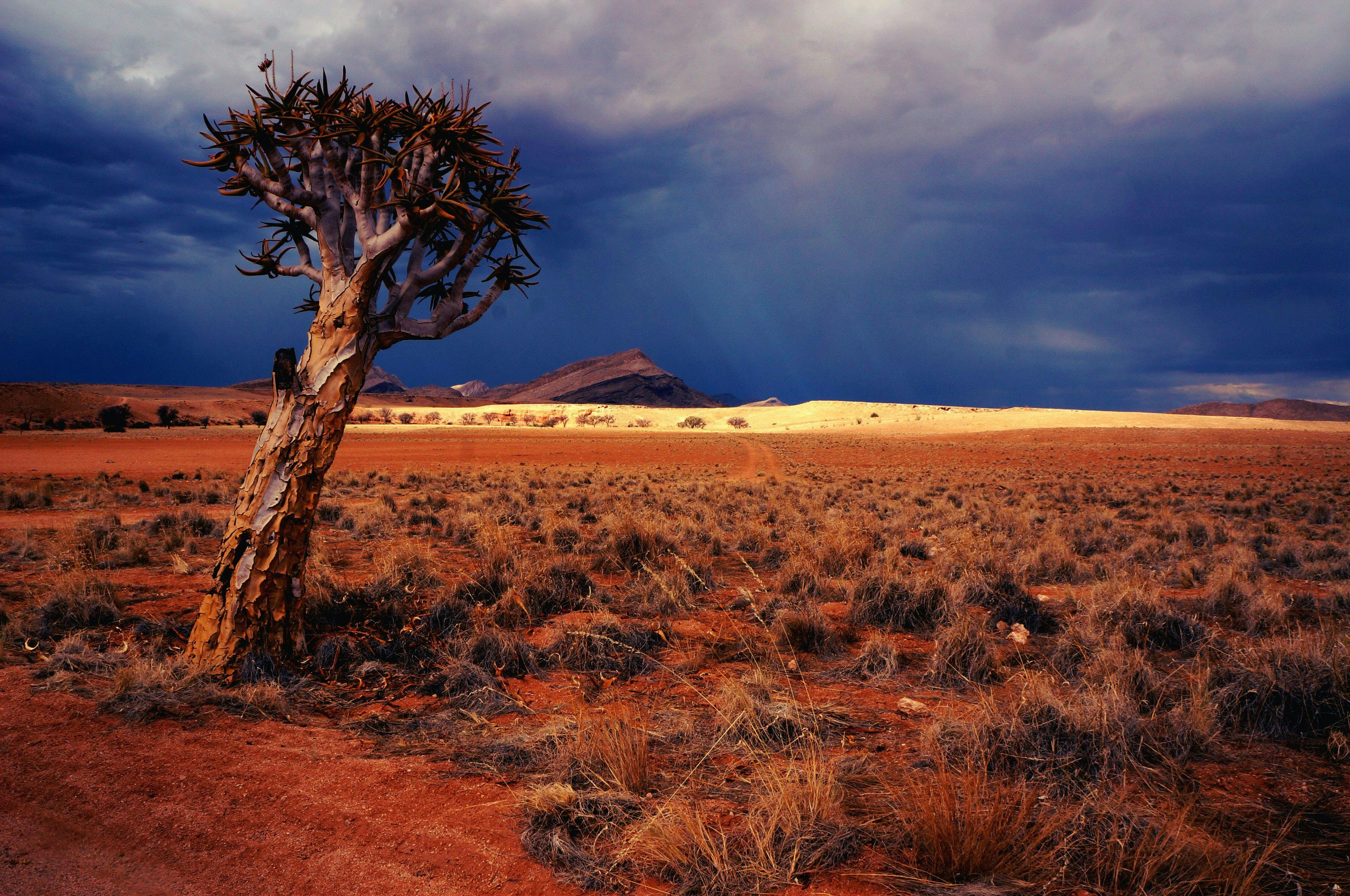 Dramatic sky over desert in Namibia in Africa.