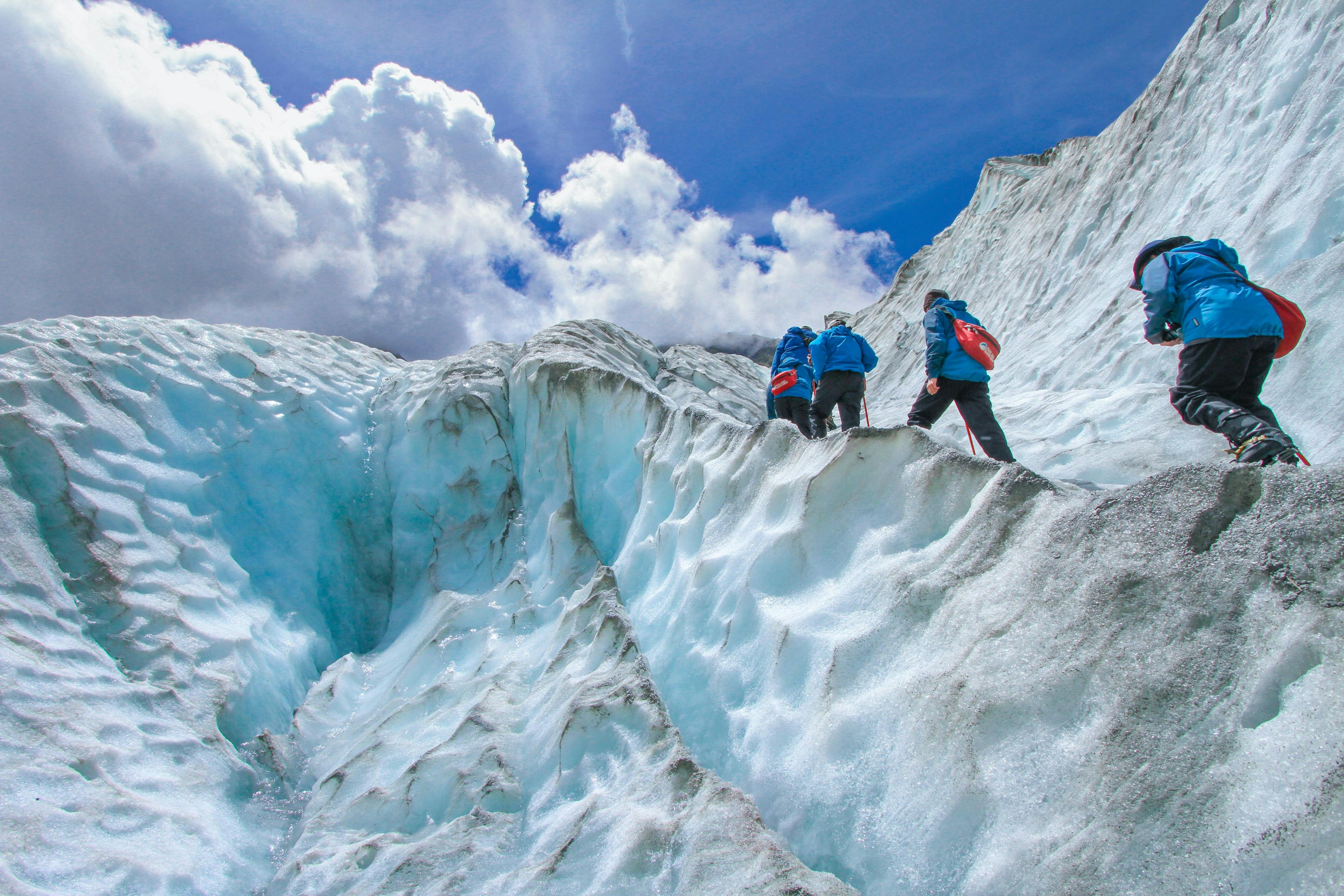 People trekking on glacier in New Zealand.