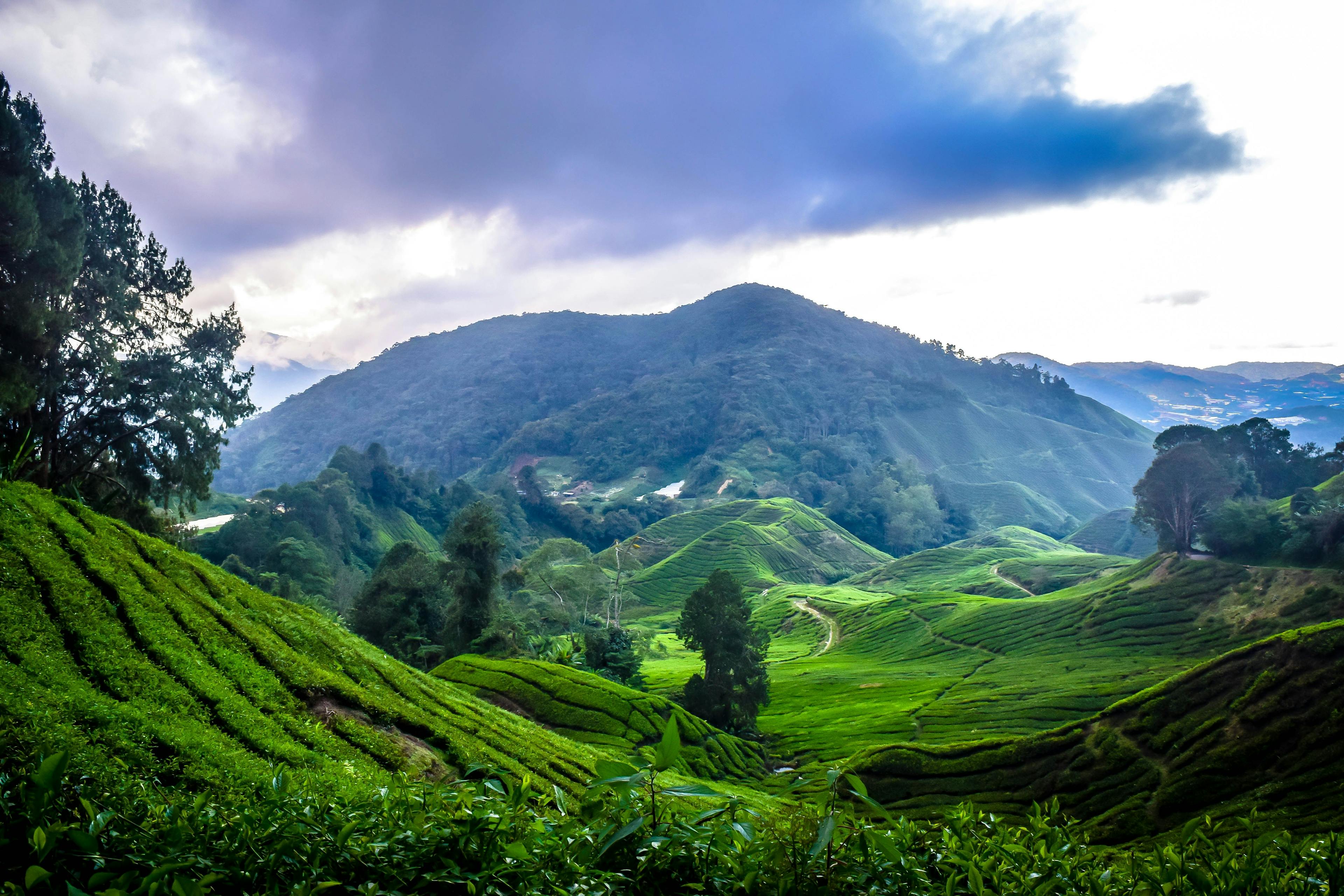 View on Cameron Highlands in Pahang Malaysia.