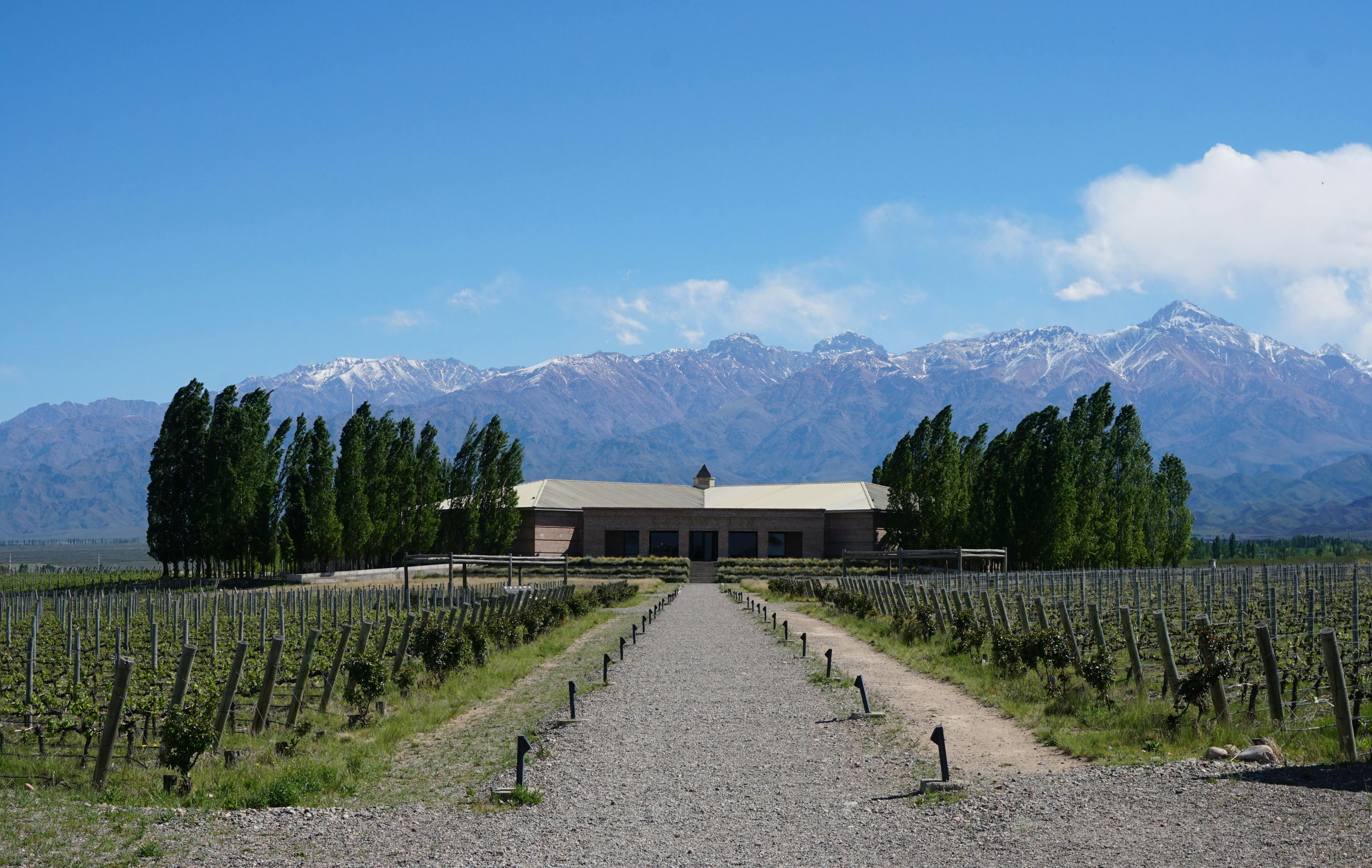 Entrance to winery in Mendoza Argentina.