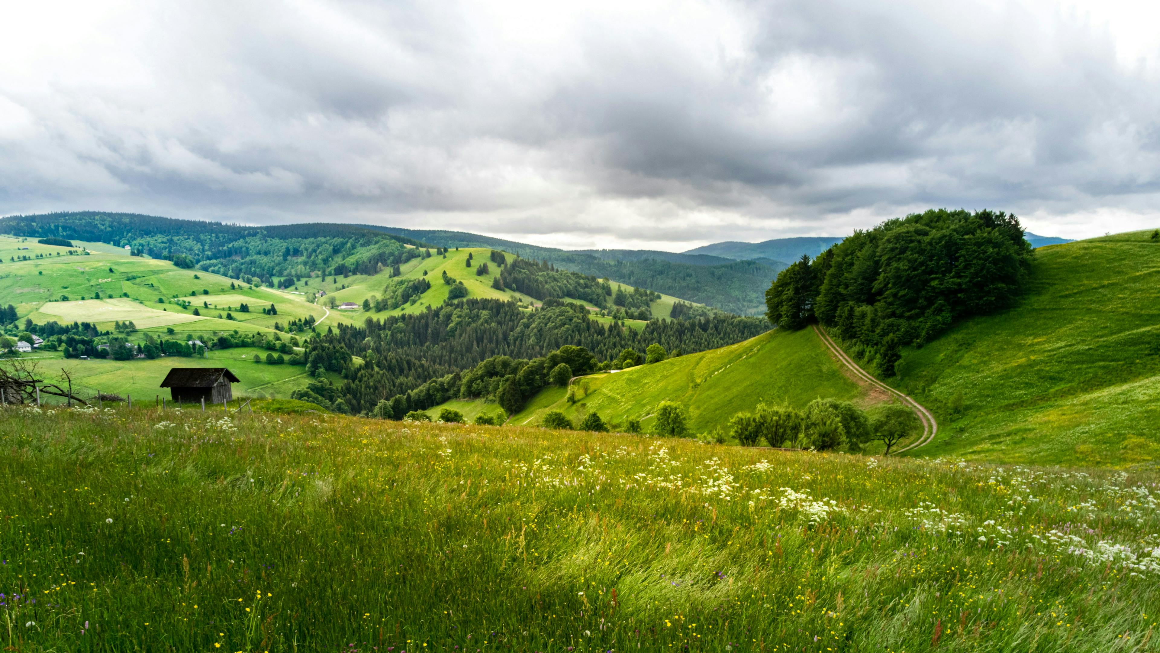 Hiking trails in Black Forest in Germany.