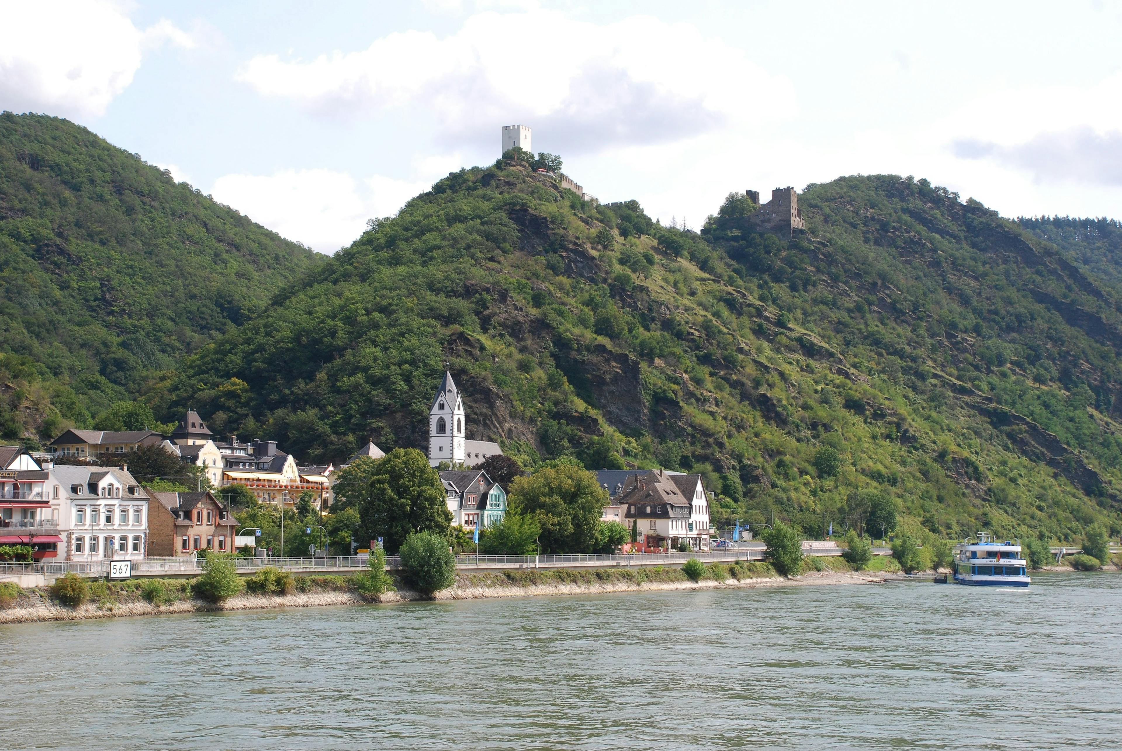 Rhine River bank with houses in Germany.