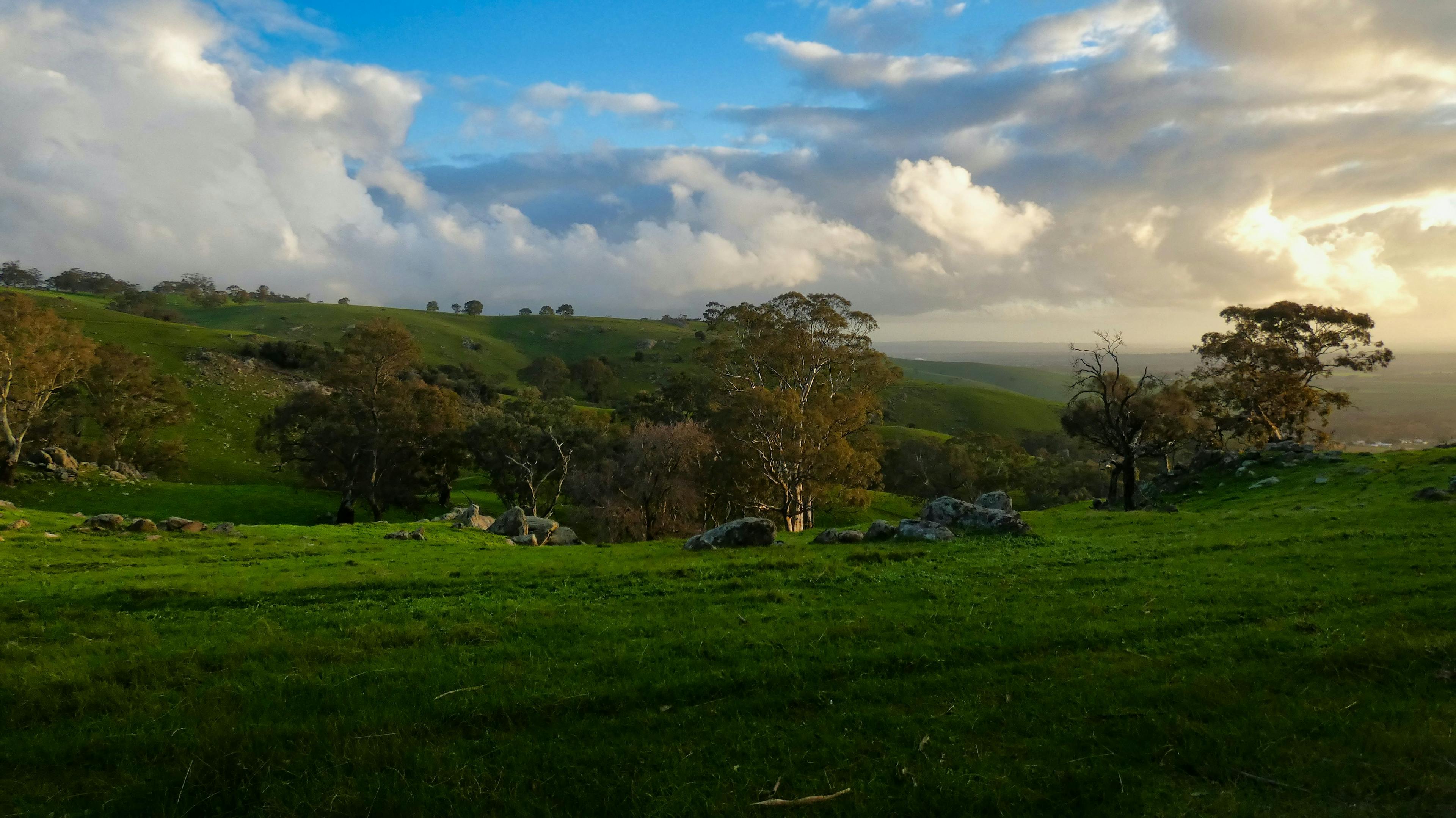 View on Barossa Valley in Australia.