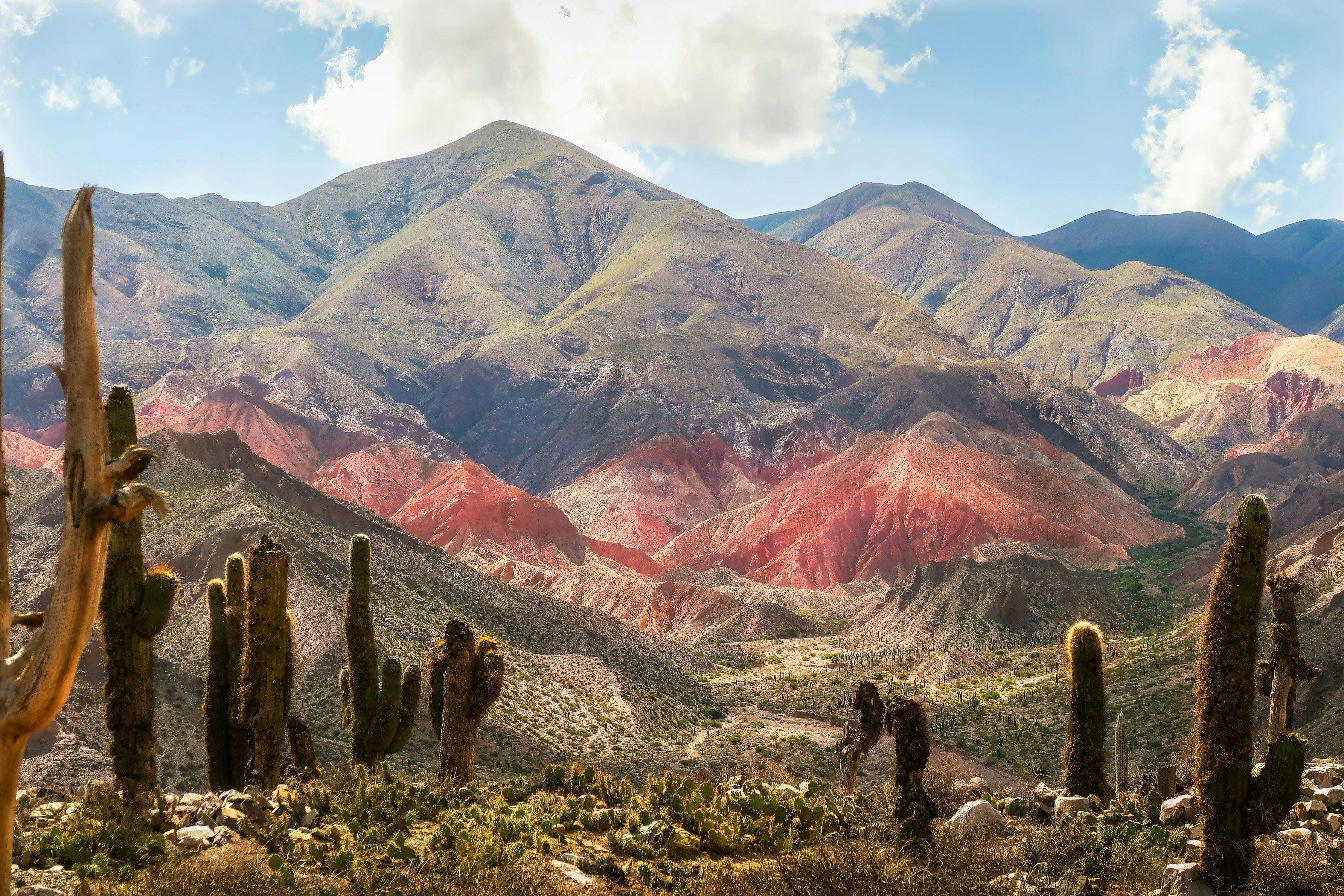 Mountains and cactuses in Jujuy Argentina.