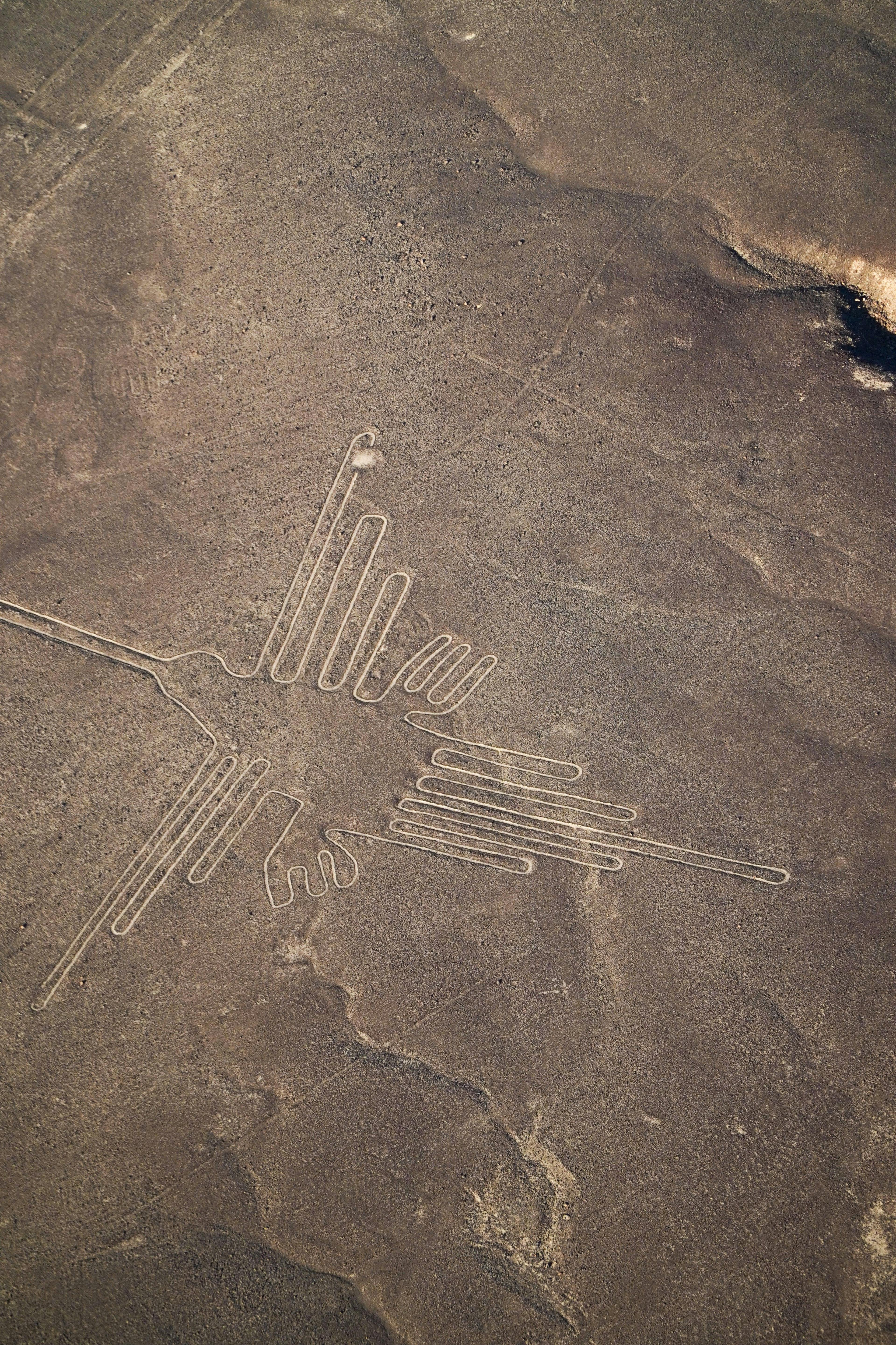 Geoglyph depicting a bird in Peru.